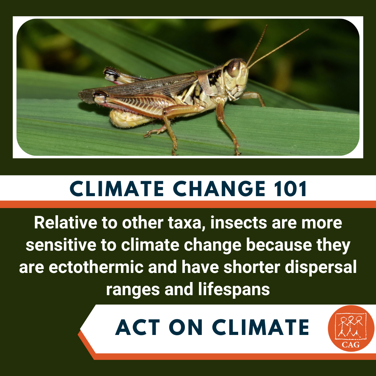Climate Change - Spike in insects mortality | CAG