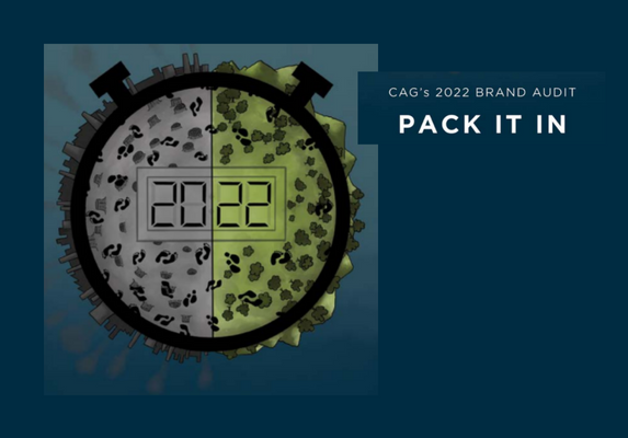 brand audit
