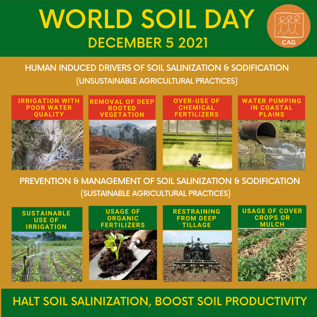 World Soil Day