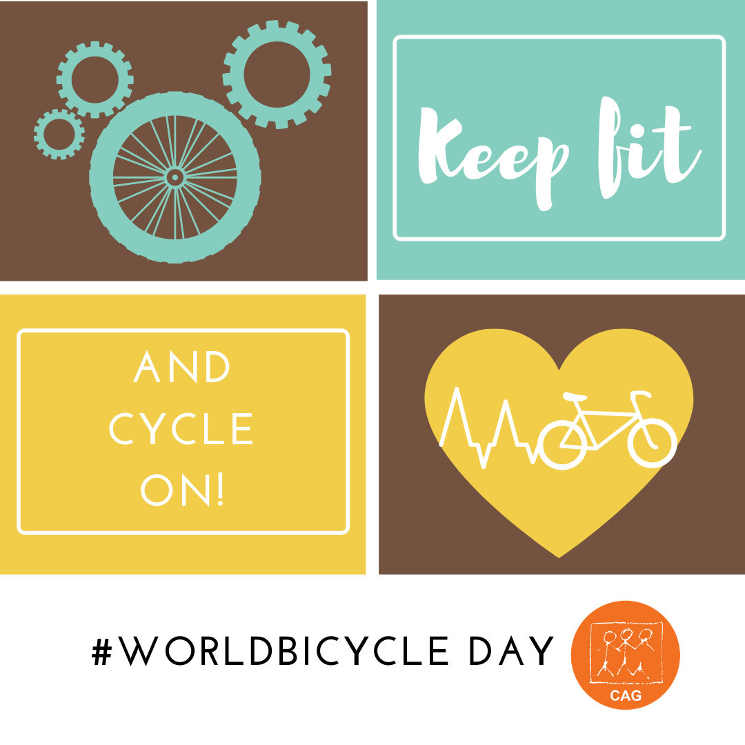 World Bicycle Day